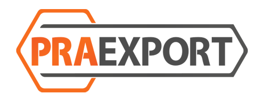 E-İhracat Süreç Yönetimi | PraExport